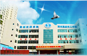 高級(jí)技校龍崗校區(qū)防雷服務(wù)